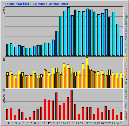Tages-Statistik im Monat Januar 2021