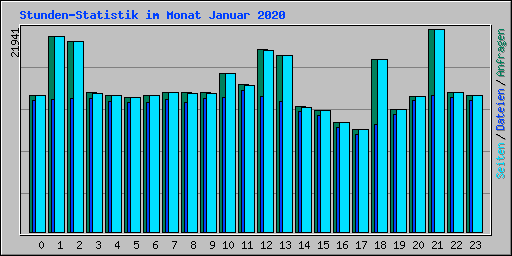 Stunden-Statistik im Monat Januar 2020