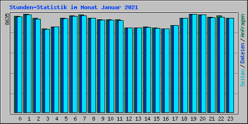 Stunden-Statistik im Monat Januar 2021