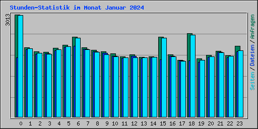 Stunden-Statistik im Monat Januar 2024