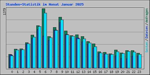 Stunden-Statistik im Monat Januar 2025