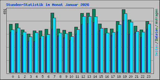 Stunden-Statistik im Monat Januar 2026
