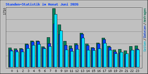 Stunden-Statistik im Monat Juni 2026