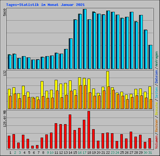 Tages-Statistik im Monat Januar 2021