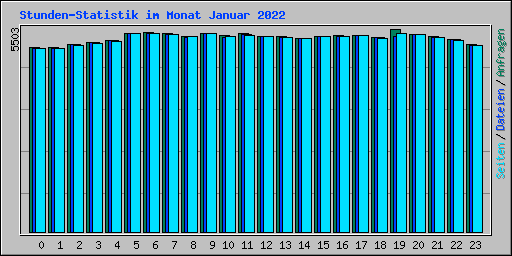 Stunden-Statistik im Monat Januar 2022