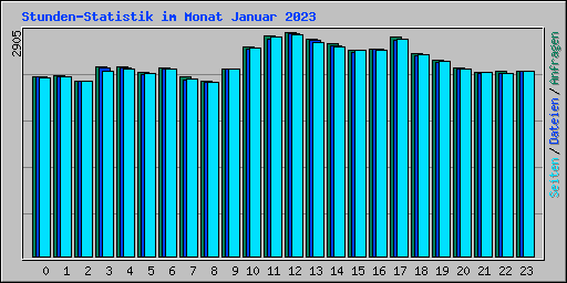 Stunden-Statistik im Monat Januar 2023