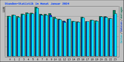 Stunden-Statistik im Monat Januar 2024
