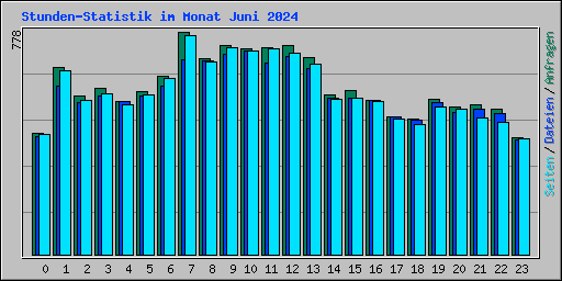Stunden-Statistik im Monat Juni 2024