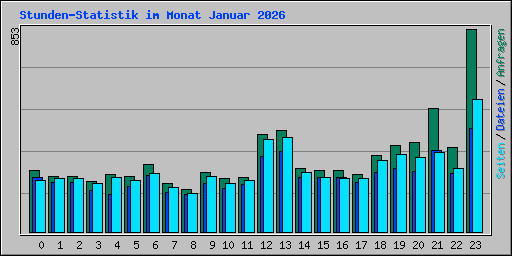 Stunden-Statistik im Monat Januar 2026
