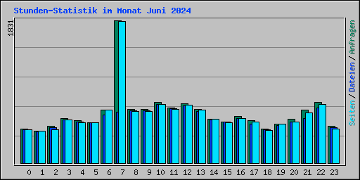 Stunden-Statistik im Monat Juni 2024