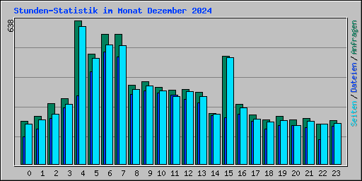 Stunden-Statistik im Monat Dezember 2024