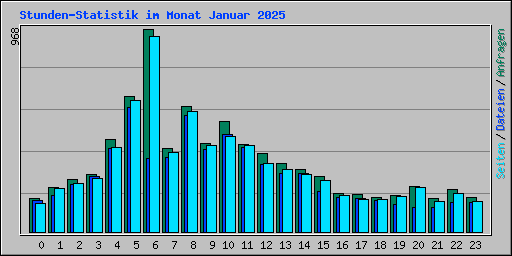 Stunden-Statistik im Monat Januar 2025