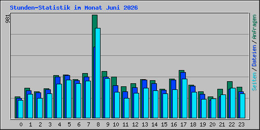 Stunden-Statistik im Monat Juni 2026